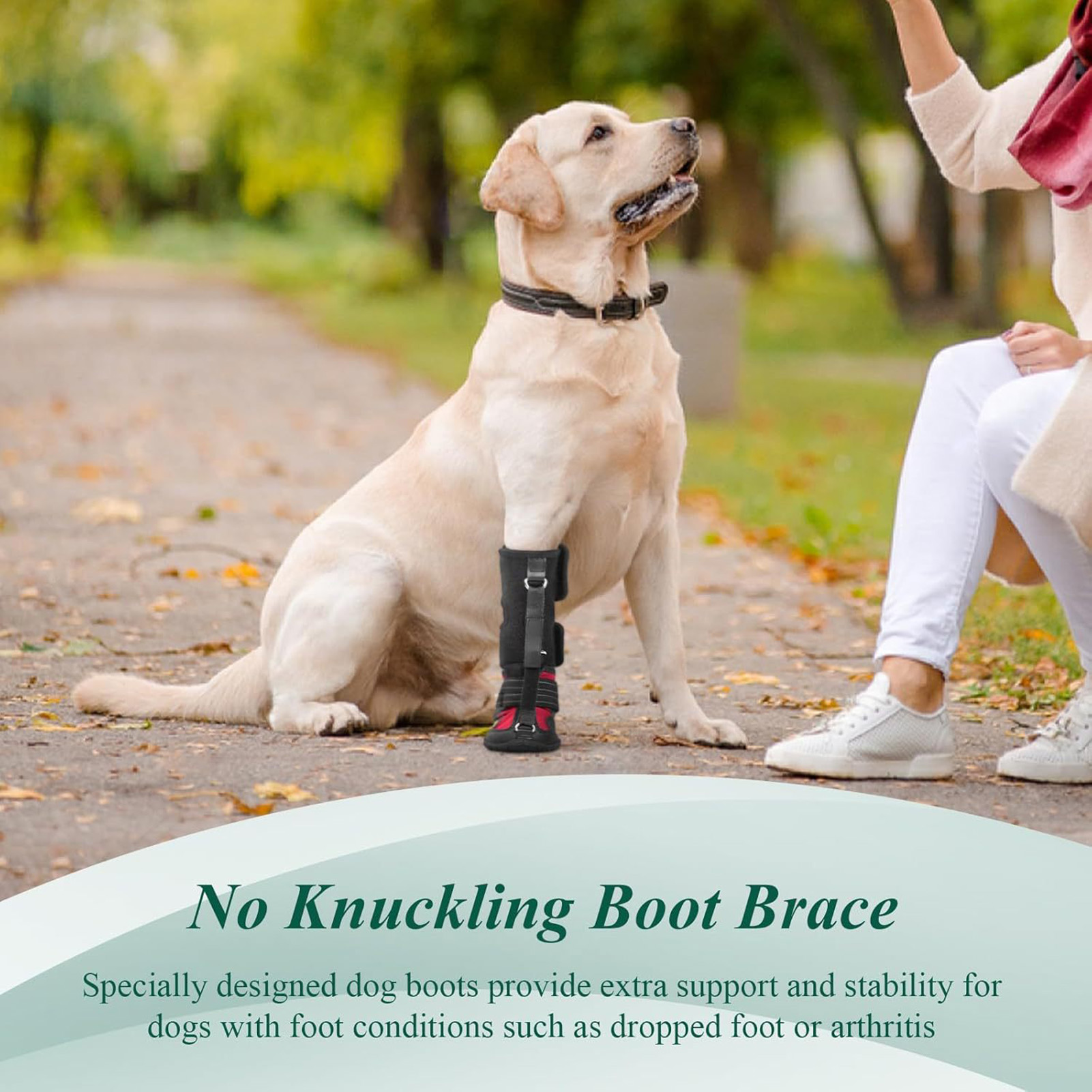 Pet Shoes, Anti Dirt, Anti Dro - مراجعة Outdoor Adventure Shoes وسعره